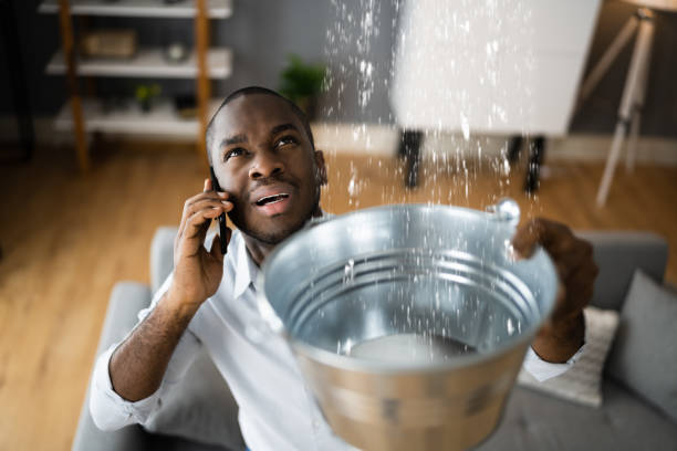 Best Mold removal after water damage  in Rapids, NY