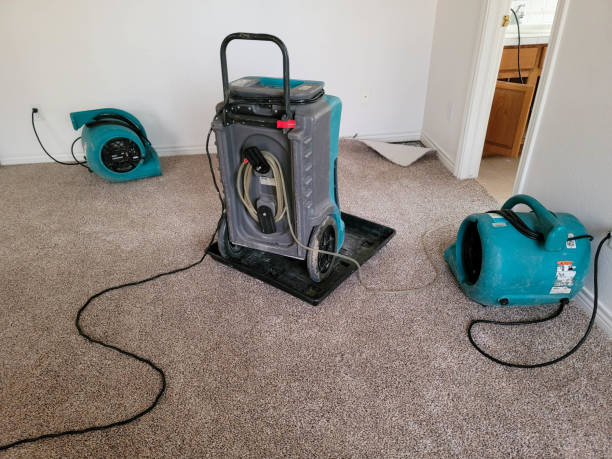 Best Residential water damage restoration  in Rapids, NY
