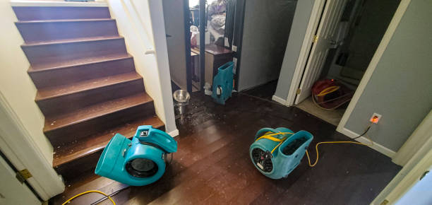 Best Water damage restoration company  in Rapids, NY