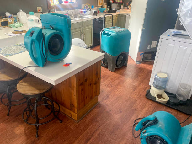 Best Water damage mitigation services  in Rapids, NY