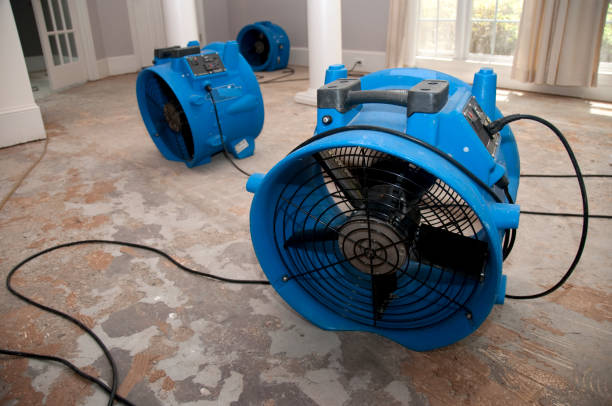 Best Flooded house restoration  in Rapids, NY