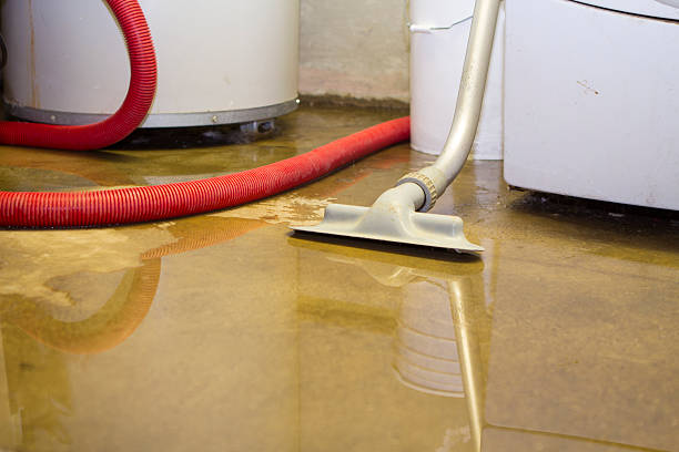 Best Sewage cleanup and water damage restoration  in Rapids, NY