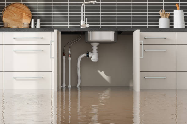 Best Sewage cleanup and water damage restoration  in Rapids, NY