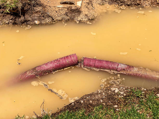 Best Residential water damage restoration  in Rapids, NY