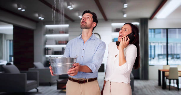 Best Water damage contractors near me  in Rapids, NY